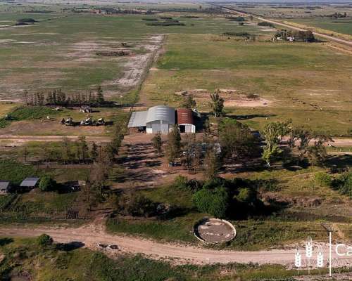 Venta Campo 4.273,7 Has para Siembra a 70 km al Este Tostado