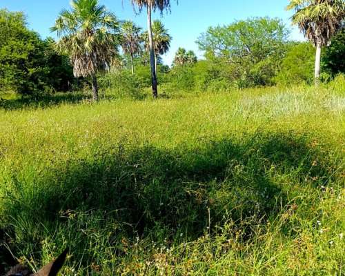 Campo Ganadero 1470 Has Pcia de la Plaza Chaco