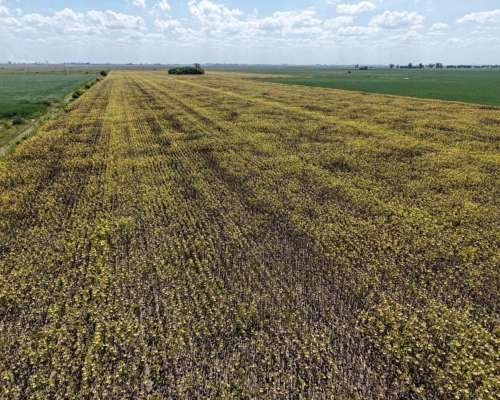 30 Has. Agricolas. Depto. San Jeronimo.