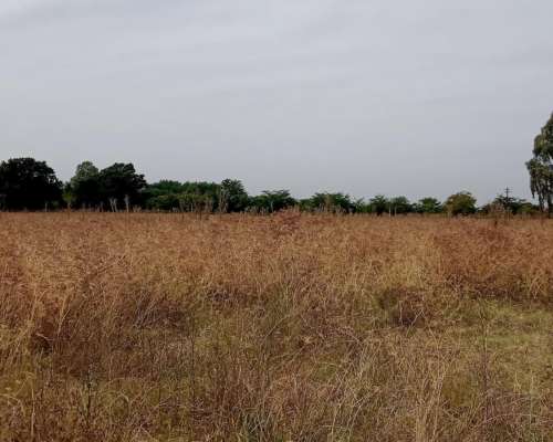 Las Heras Chacra 12 Has