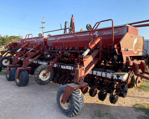 Crucianelli Gringa 28 a 35