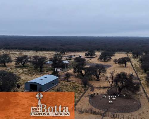 Campo Ganadero en Venta — 3.200 Has Rancul, la Pampa