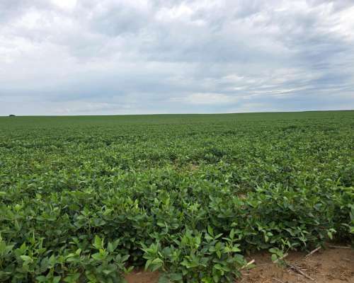 700 Hectáreas Agrícolas Fraga