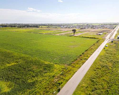 25ha Timbues - Ideal Loteo