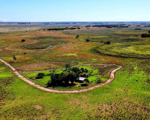 Campo Mixto de 14000 Hectareas Concepción Corrientes