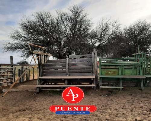 En Venta 3100 HA. Victorica, la Pampa