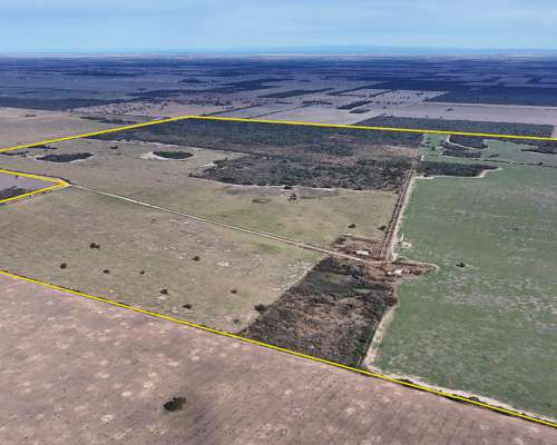 Córdoba la Puerta 500 Has Mixtas Agricolas