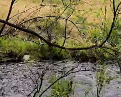 Trevelin, Campo de Precordillera