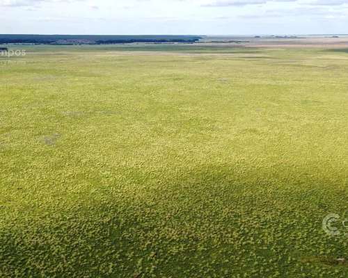 Se Vende Campo de 10.000 Ha Corrientes, Argentina
