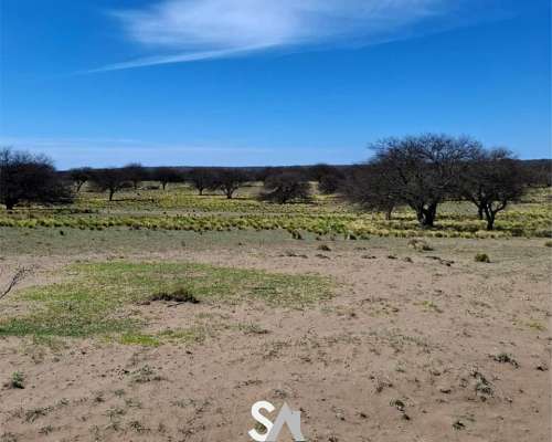 Vende: Hermoso Coto de Caza en la Pampa