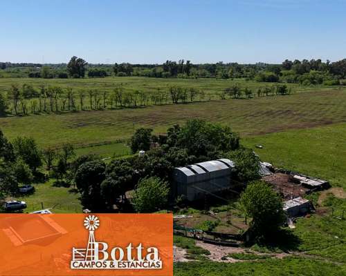 Chacra en Venta – 16 Has – Mercedes, Buenos Aires