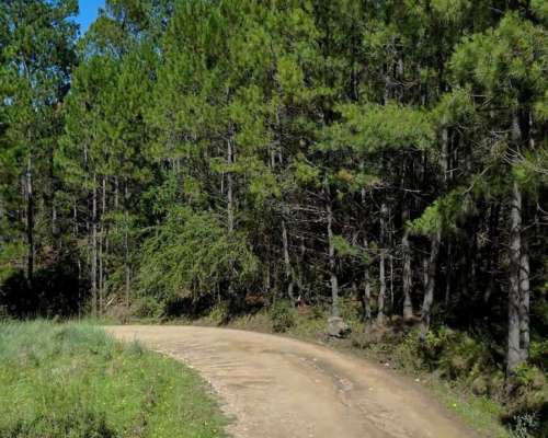 Fraccion de Campo en Intiyaco