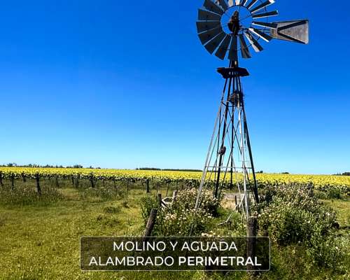 Bdo de Irigoyen 50 Has. Agrícola-ganadero. Campo en Venta.