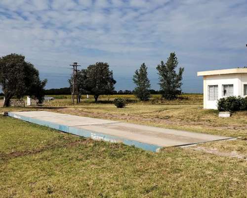 Alquiler - Planta de Silos y Acopio