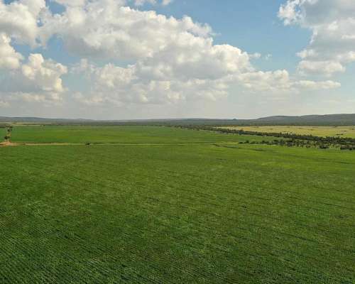 San Pedro Norte, Córdoba - 3068 Ha