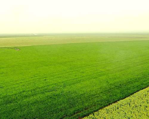 Campo Mixto 1500 HA, Pila (bs. AS)
