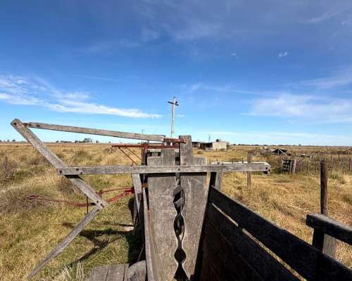 Campo en Venta Colonia Belgrano 287 Has Ganaderas