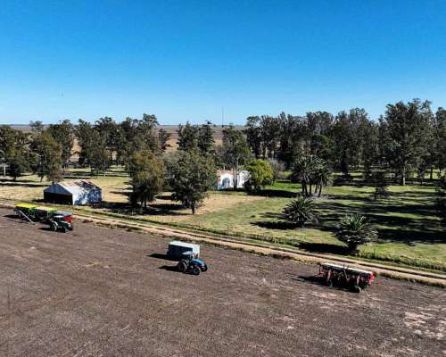 Pcia. de Santa FE - Aaron Castellanos 1125 Has