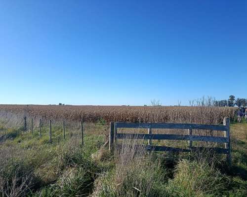 207 Ha Agricola Ganadero-vivorata