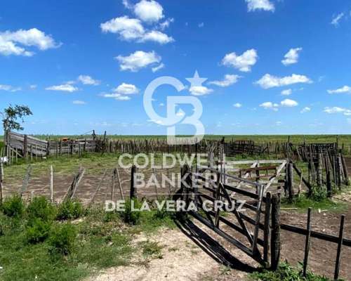 Campo Ganadero 1000 Has., Piamonte, Santa FE