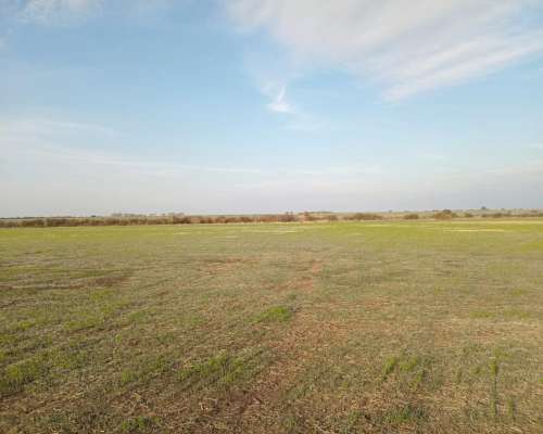 25 Ha en Nogoyá a Pocos km 12 Mayormente Agrícola