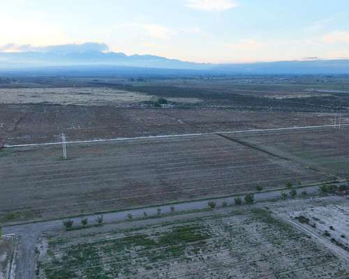 El Carrizal, Lujan de Cuyo, Mendoza - 359 Ha