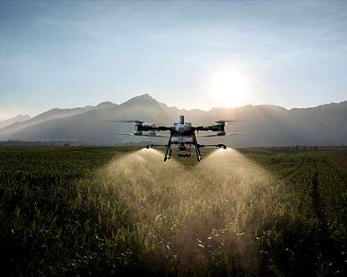 Drone DJI Agras T-100