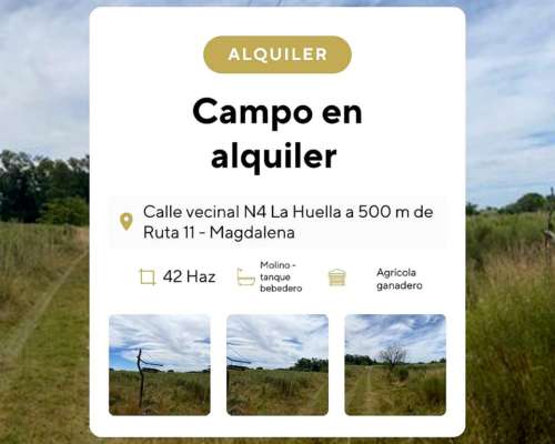 Alquiler Campo Dueño Directo