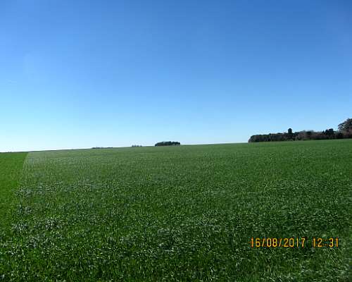 Santa Teresa - 178 Ha - Santa FE