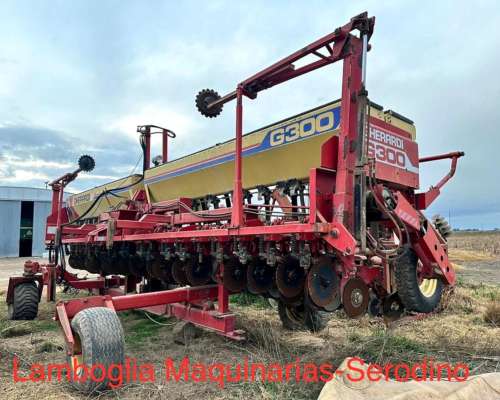 Semb. Gerardi G 300 de 2010 20 a 042 cm con Fertiliza