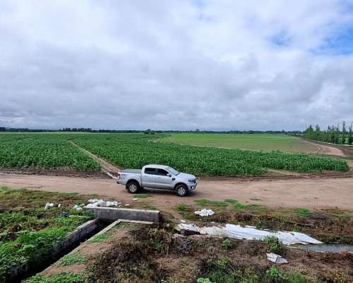 Campo en Valle de Jujuy