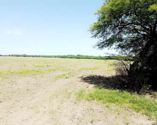 Campo Mixto Excelente Oportunidad