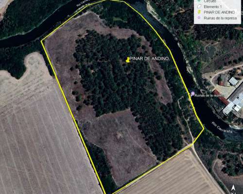 Pinar de Andino 21 Ha - 50 % Agrícola 50 % Bosque de Pinos
