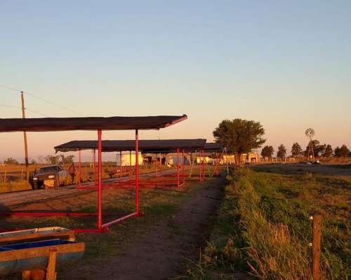 Sombras Móviles para Ganado