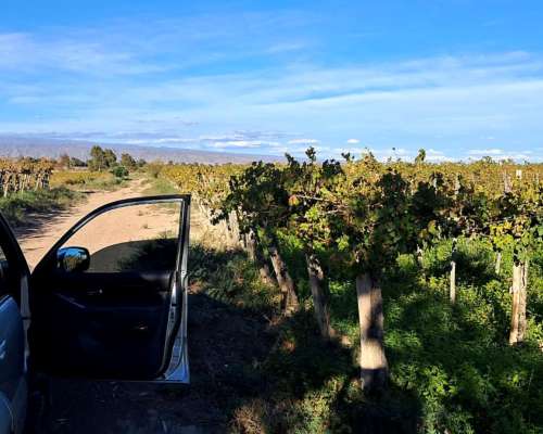Vendo o Alquilo Finca en Santa Lucía, San Juan