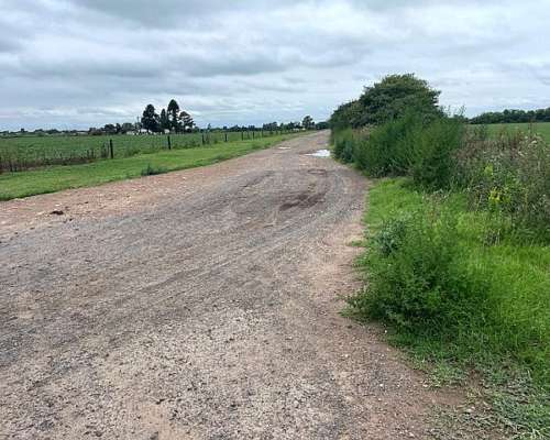 Campo de 10 Has Agrícolas con Excelente Ubicación Ramallo