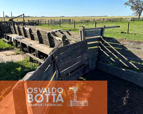 Campo Mixto en Venta, 1654has Carlos Tejedor