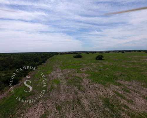 Venta Campo Mixto. Tostado, Santa FE. 425 Hectáreas.