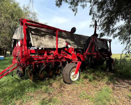 S. G. Grueso Crucianelli Gringa 7035 23 a 35 Precision Plant