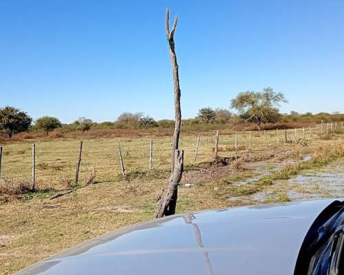 Vendo Campo 23 Has Vera Santa FE Sobre Ruta 3 (toba)