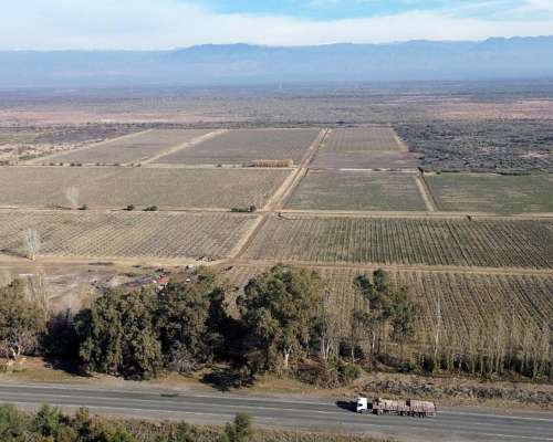 Finca de 60ha en Ruta N° 40 Capdevilla Derecho de Riego
