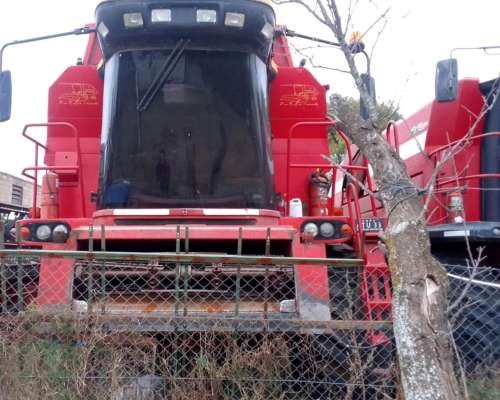 Don Roque 170 Usada 2004