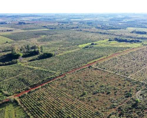 Se Vende Chacra de 48 Ha en Apostoles Misiones. 28 Ha con YE