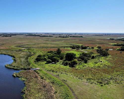 Campo Mixto de 14000 Hectareas Concepción Corrientes