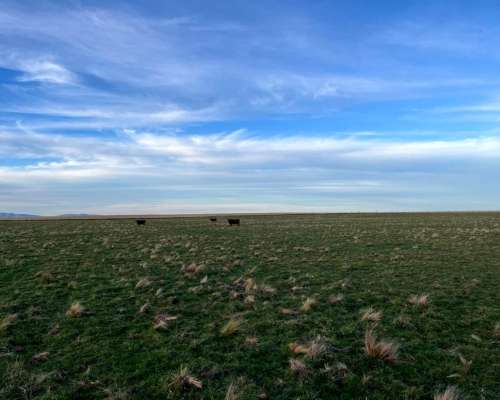 285 Hectareas Bahia Blanca