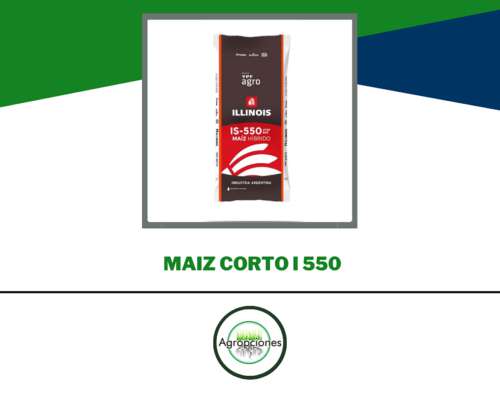 Semilla de Maiz I-550 - Ciclo Corto ( Precoz )