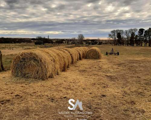 Vende: Campo Ganadero de 2010 Hectáreas en General Acha, DEP