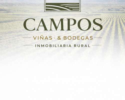 400has Rematofinancio Mendoza,lavalle Conversable,pistacho