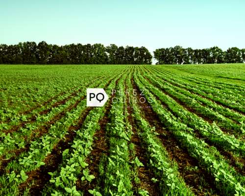 Se Vende Campo en San Luis. Oportunidad