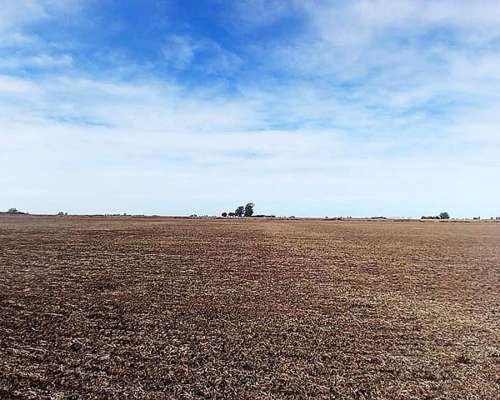 Campo Agrícola-ganadero de 25 Ha en Villa Mugueta